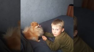 Эмми