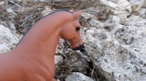 Заставка к фильму : иллюзия. #лошади шляйх.