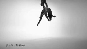 Bryulik - Fly People
