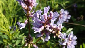 2025.07.03. Норильск - река Амбарная.