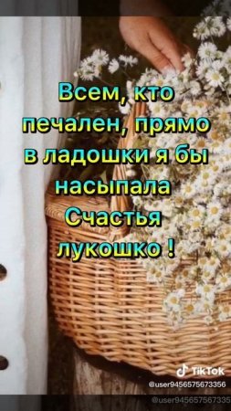 Доброе утро