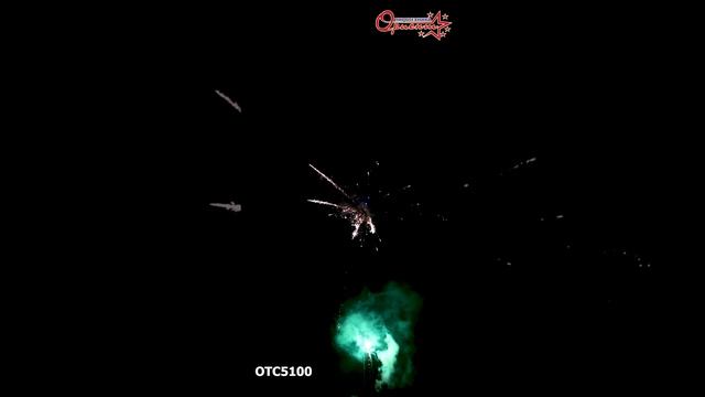 OTC5100 2025г