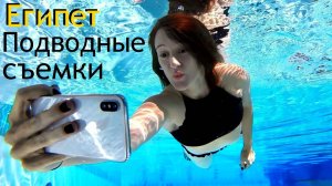 Египет-ныряльщики с мобилой к рыбам