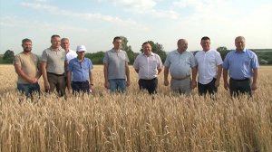 Традиционный объезд сельхозугодий прошёл в Красногвардейском районе