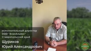Отзыв на работу гербицида Корнкордия, МД от наших клиентов - ООО "АгроАльянс".