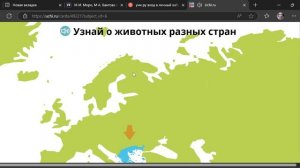 Земноводные и другие животные разных стран мира!
