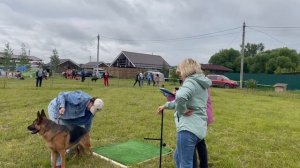 РАБОЧИЙ СУКИ / КЧК КУРСК 28 июня`25 Е.Никитина Моно немецких овчарок