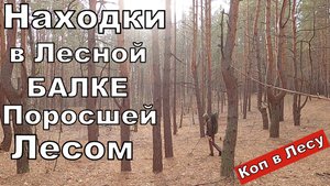 Ищу АРТЕФАКТЫ в Лесной Балке. ТРОФЕИ не Заставят Долго ЖДАТЬ