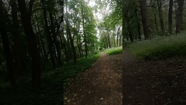 Гуляю у спортплощадки
