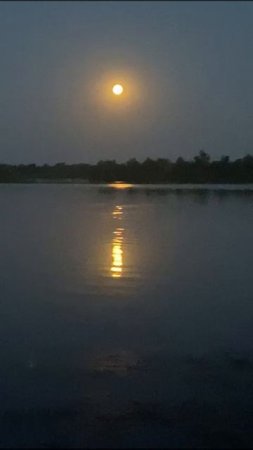 Луна над Волгой. Красота!..