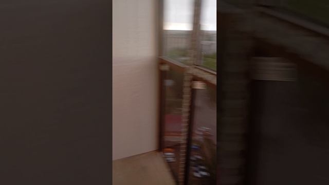 1000031267.mp4