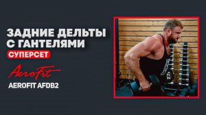 ЗАДНИЕ ДЕЛЬТЫ с Гантелями: Мощный Суперсет Aerofit AFDB2