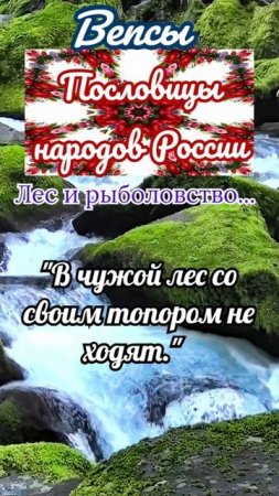 пословицы