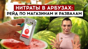 Нитраты в арбузах: рейд по магазинам и развалам