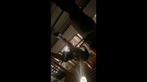 ИНОРОДЦЫ ПРИШЛИ РАЗБИРАТСЯ К ДЕВОЧКЕ ТОЛПОЙ !!!