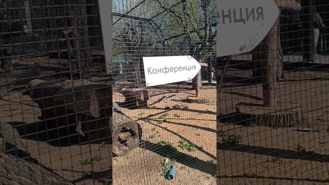 1000008897.mp4