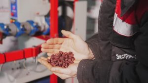 Экструдер производства сухих кормов для собак 1 вариант 2023 год.