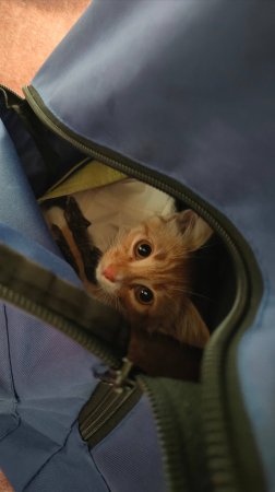 Что в рюкзаке у экскурсовода?