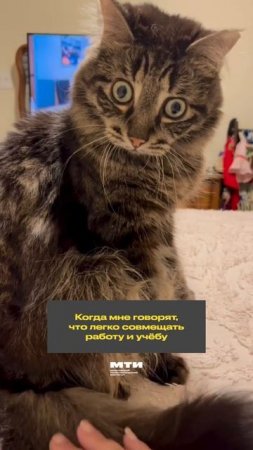 А как у вас с совмещением работы и учёбы?
