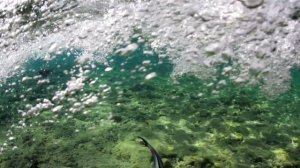Египет. Под водой.