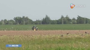 Компания "Гринвуд" возвращает заброшеные поля в сельхозоборот