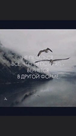 Переходи на канал, это шаг к твоей идиальной версии себя.
👆👆👆
————————
#бизес #маркетинг #финансы #у