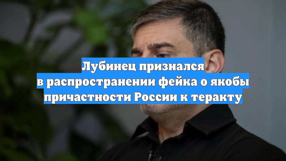Лубинец признался в распространении фейка о якобы причастности России к теракту