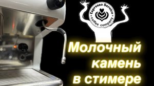 Стимер кофемашины и молочный камень