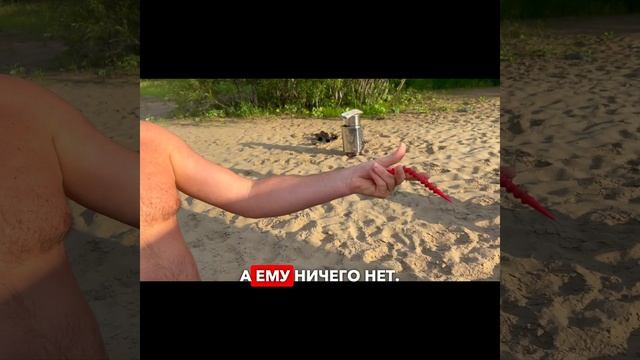 Нашли неубиваемые колышки! #shibargan #колышки #твоябанька