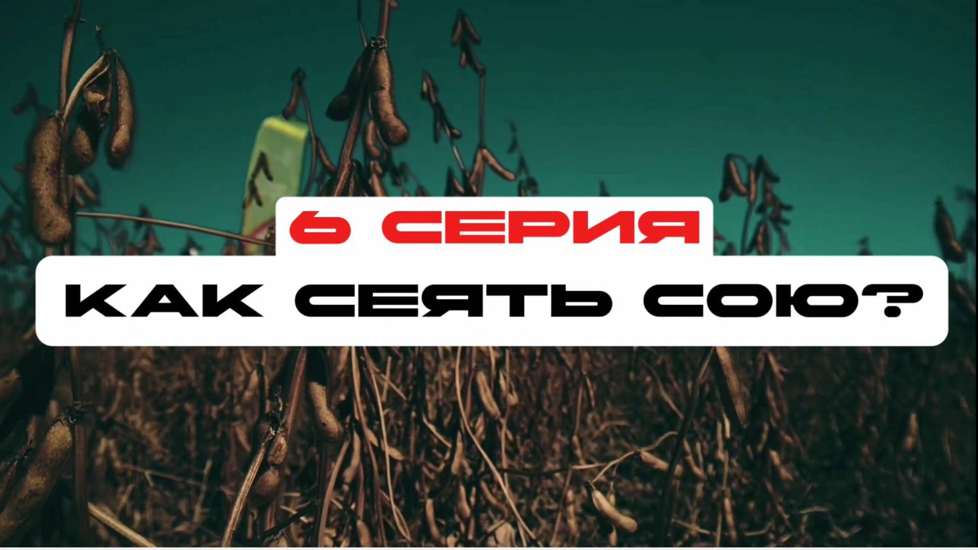Соя с нуля. 6 серия. Как сеять сою? Посев сои в Чувашии