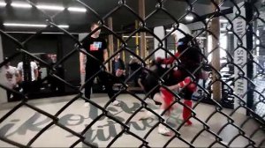 соревнования по ММА