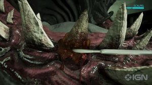 Трейлер Shark Dentist (анонс)