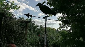Флюгер "ВОРОНА" - пугало для птиц.
