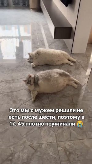 Очень жизненно 😁