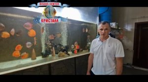 Пермь Михаил, член Международного клуба Кристалл в гостях у Олега Филиппова.