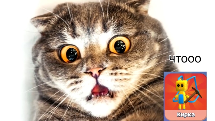 как найти шику кирку в супер беар адвенчер смотреть онлайн