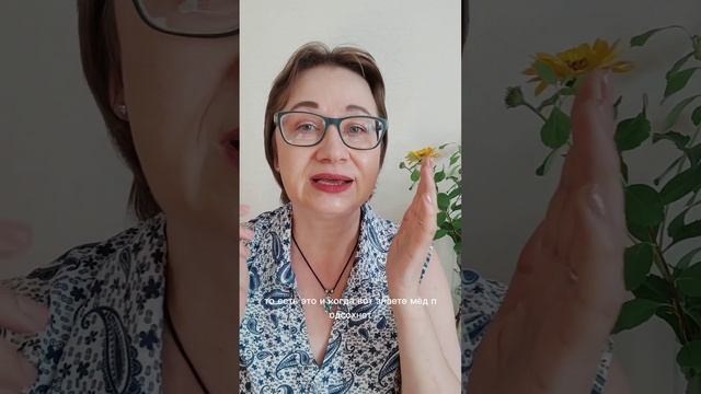 Новинки Optimals против пигментации