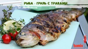 Рецепт рыбы гриль с травами от Bamix
