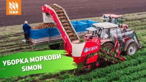 Французский комбайн SIMON: Как эффективно убирать морковь без потерь!