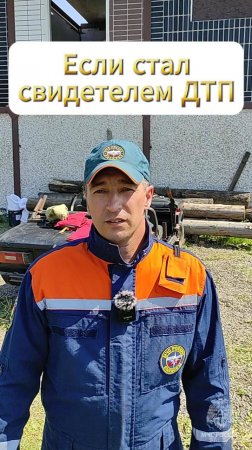 Что делать, если стал свидетелем ДТП #БезопасностьЭлементарно
