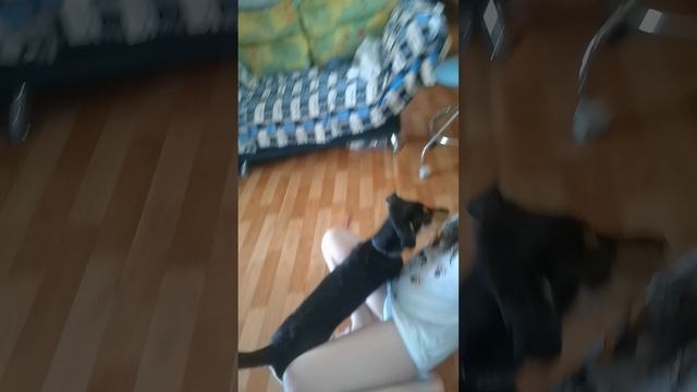 VID_20250711_152726.mp40х00