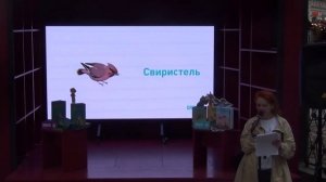 Книжные Аллеи в С-Пб 9.07.25 Интерактивное занятие по книге "Хвойша" Издательская лаборатория Графо