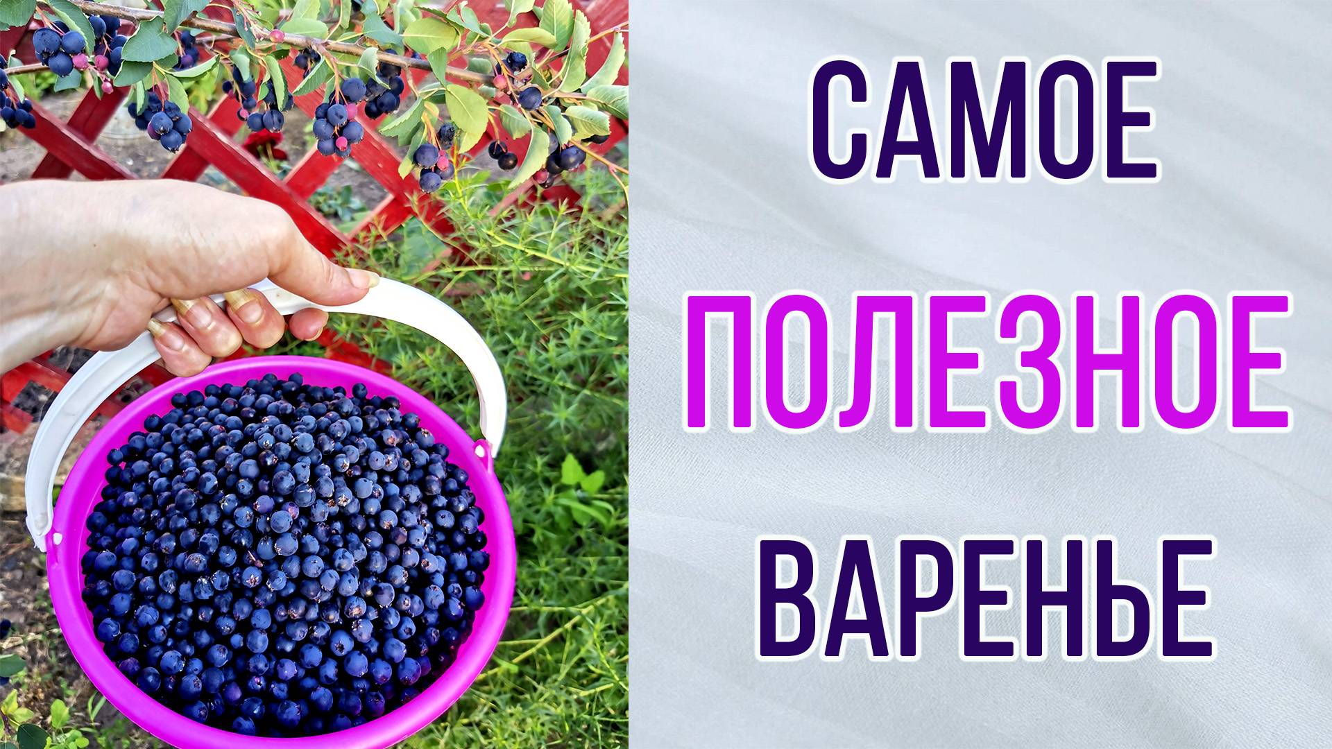 Самое полезное варенье. Практически из любых ягод и фруктов. Без сахара !