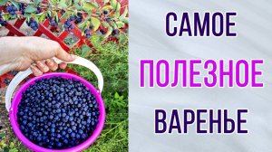 Самое полезное варенье. Практически из любых ягод и фруктов. Без сахара !