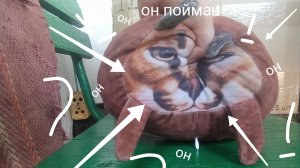 шлёпа съел мой горох часть 4