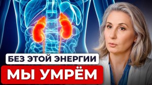 Энергия почек это БОЛЬШЕ чем просто ЗДОРОВЫЕ Почки! Тайны ЦИ почек