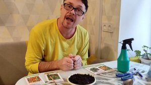 выращиваем перцы на подоконнике