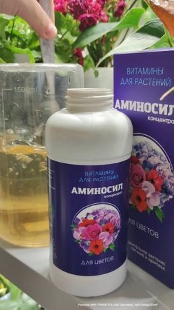 3 ТАБЛЕТКИ для ГЕРАНИ и даже слабенькая вмиг выдаст много цветоносов. ЧЕМ ПОДКОРМИТЬ ГЕРАНЬ ЛЕТОМ?