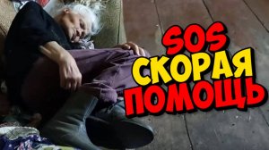 ВИТАЛЯ , ЛЮБОВЬ ЕГОРОВНА И КОРОВА .СРОЧНАЯ ПОМОЩЬ .