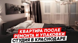 Лучшая упаковка (обстановка мебелью и техникой) студии в ЖК Самолет